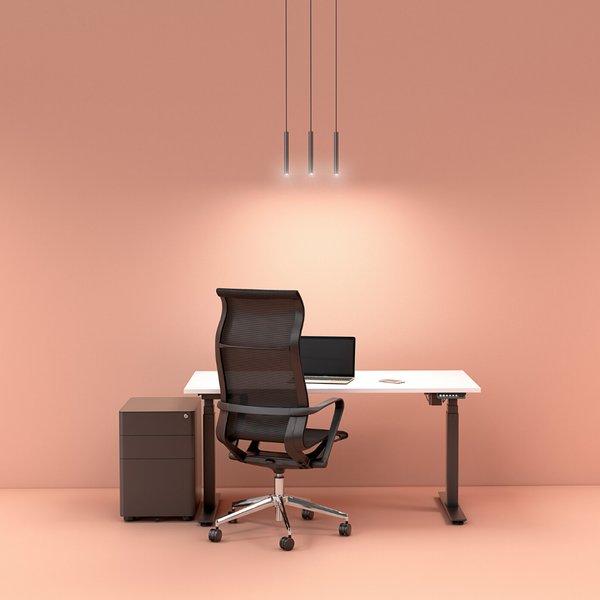 WORK FROM HOME NZ Electric Sit/stand Standing Desk NZ from Workspace Direct