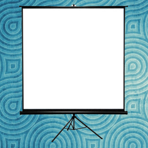 Projector Screen Portable Tri Pod