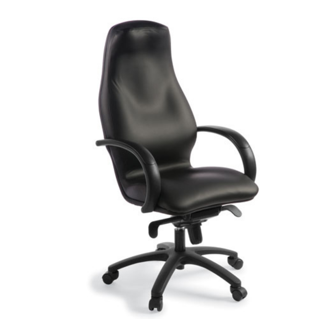 Silhouette Executive Leather Chair