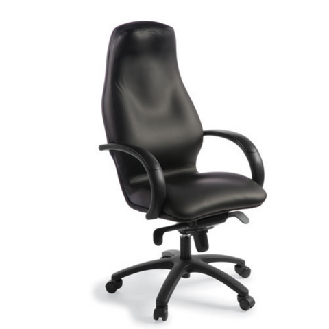 Silhouette Executive Leather Chair