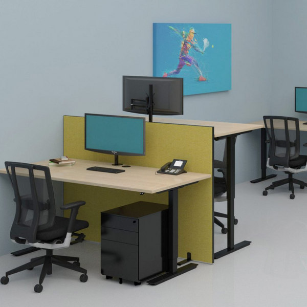 Electric Height Adjustable Standing Desk NZ from Workspace Direct