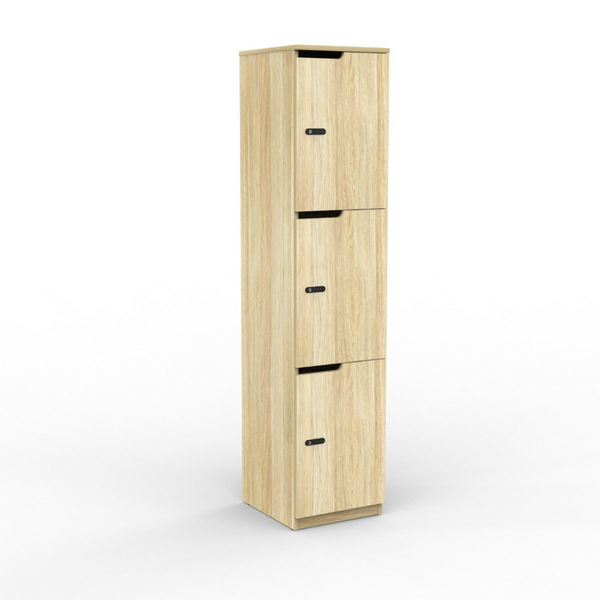 Smart Personal Office Lockers