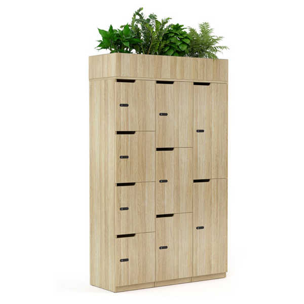 Smart Personal Office Lockers