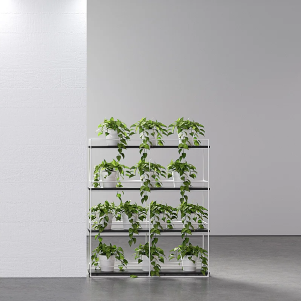Knight Cubit Office Planter Wall