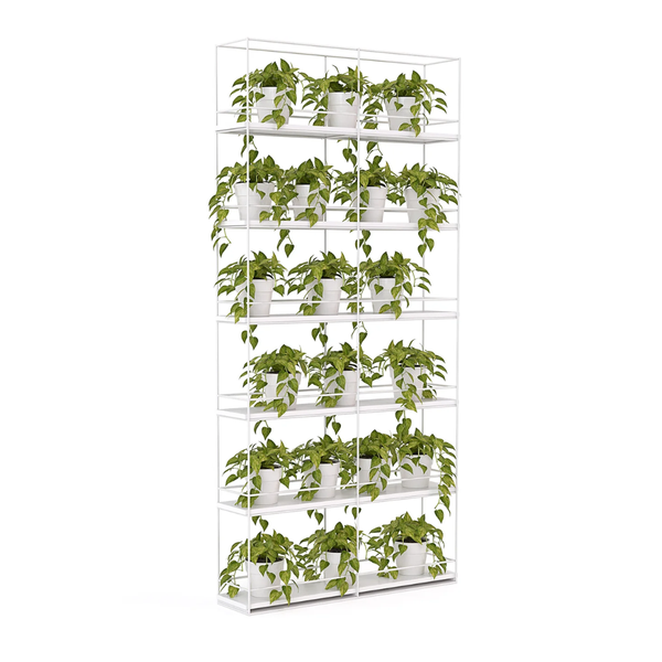 Knight Cubit Office Planter Wall