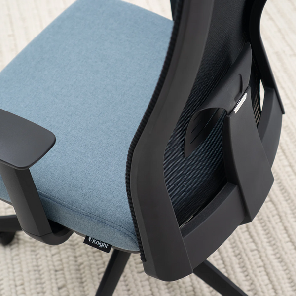 Knight Eagle Mesh Back Task Chair