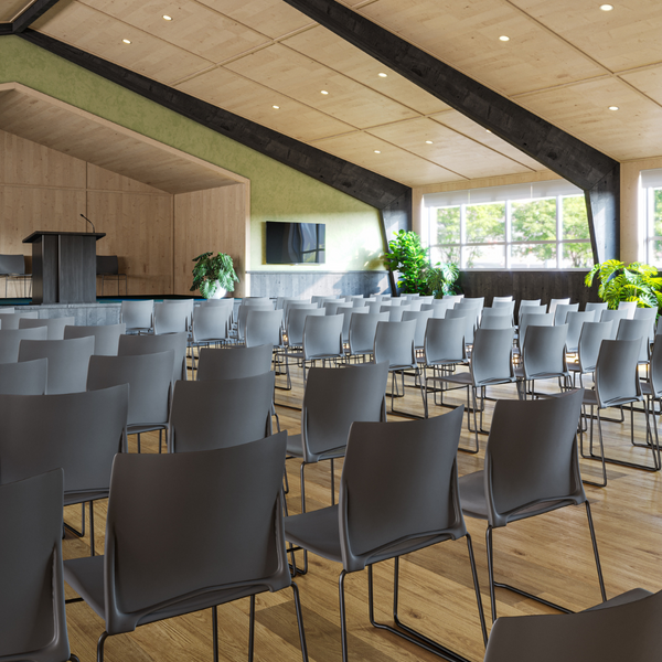 Web Conference and Meeting Chair