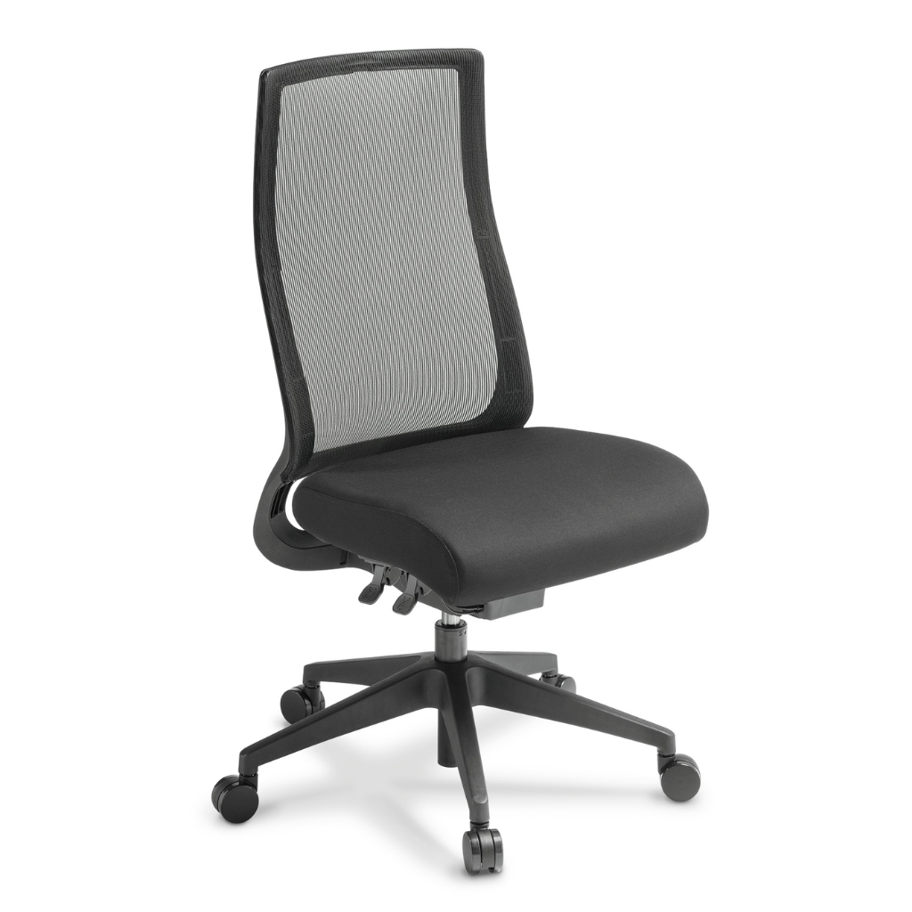 Joe Lite Mesh Task Chair