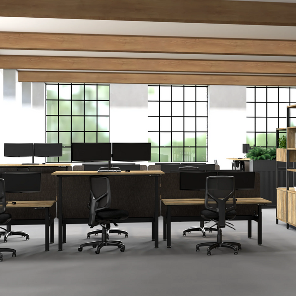 Summit II Electric Back-to-Back 2 Person Pod Desk