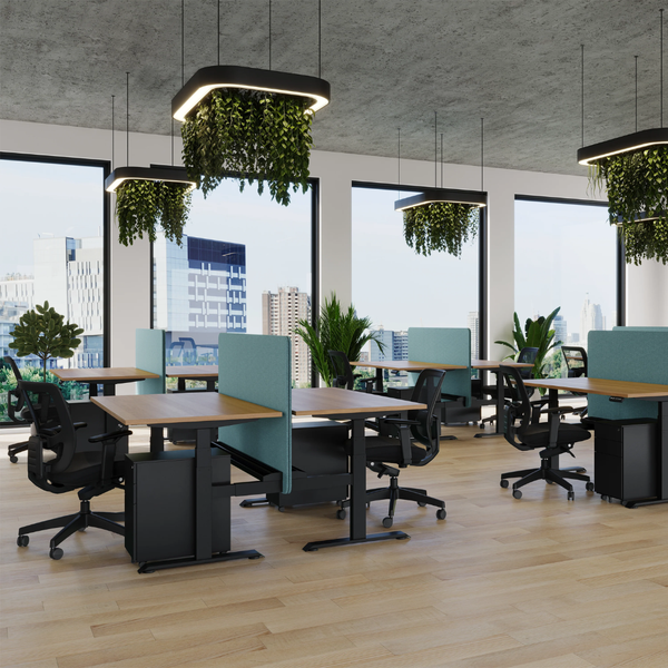 Summit II Single Electric Desk - Workspace Direct