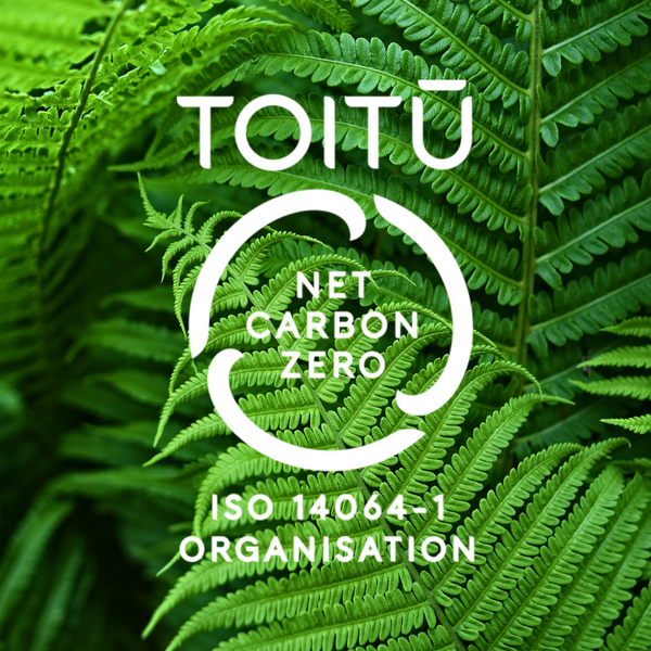 Spectrum 3 Ergonomic Office Task Chair 3 Lever