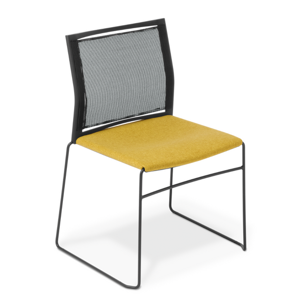 Web Conference and Meeting Chair