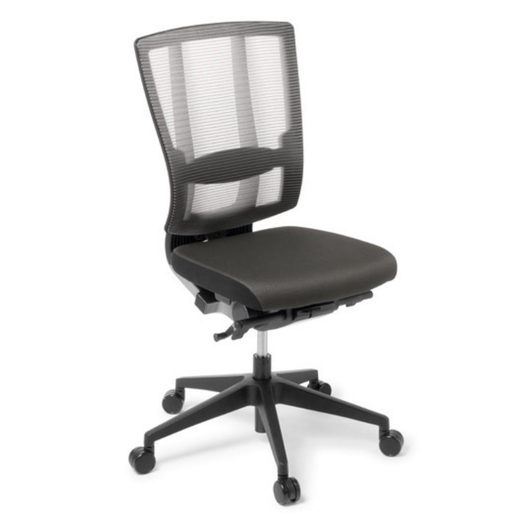 Cloud Ergo Mesh Back Chair with Black Base
