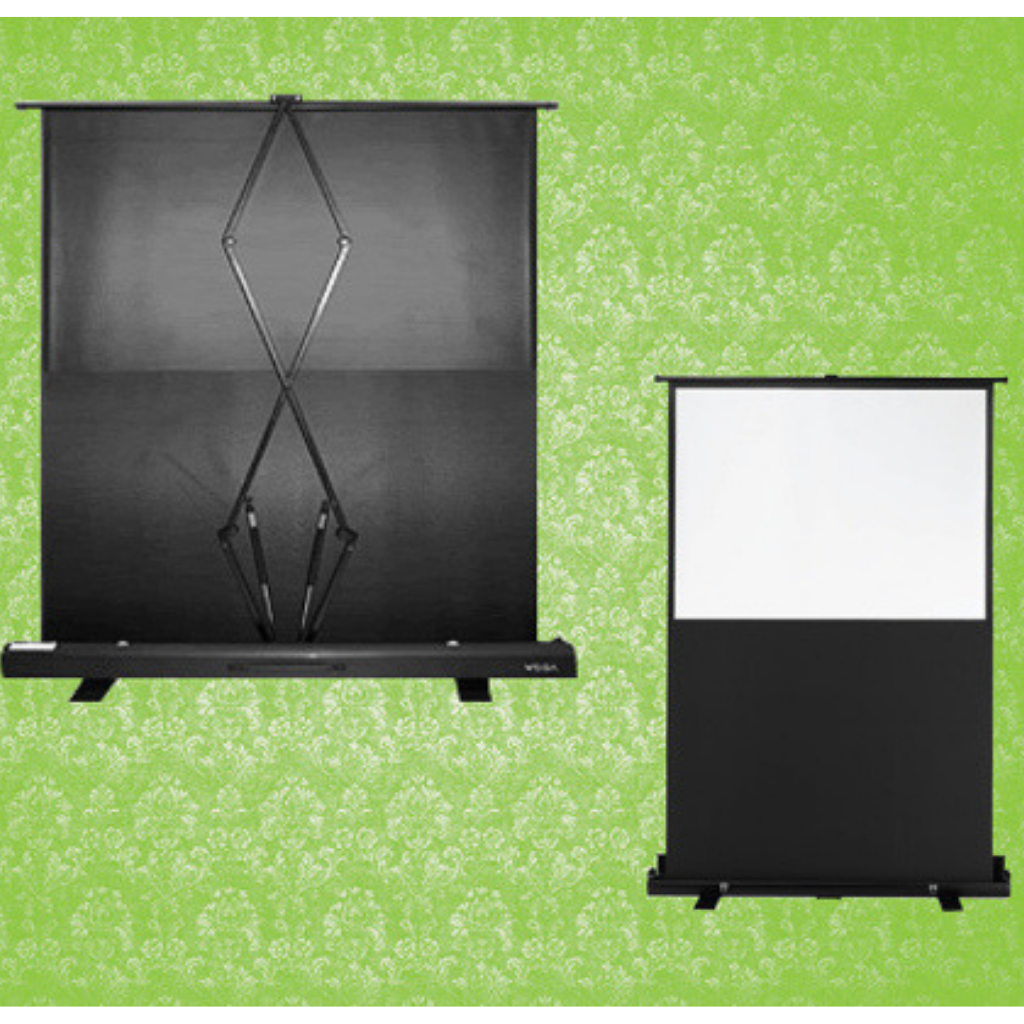 Projector Screen Portable Pull Up