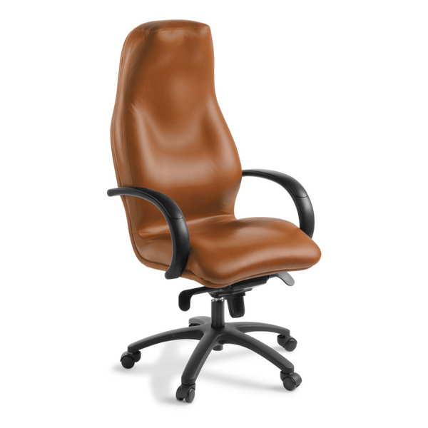 Silhouette Executive Leather Chair